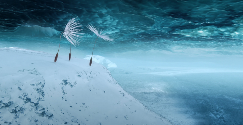 Séance ciné en famille avec "Planètes", au festival Premiers Plans à Angers