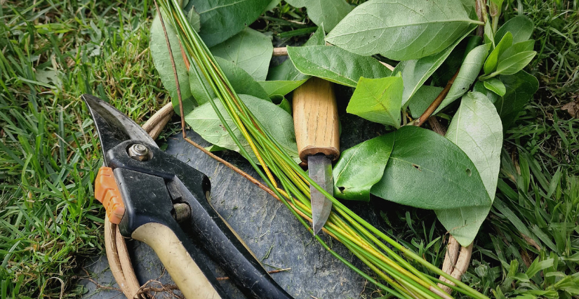 Atelier nature "Tissons les liens végétaux" à la Maison de l'Environnement