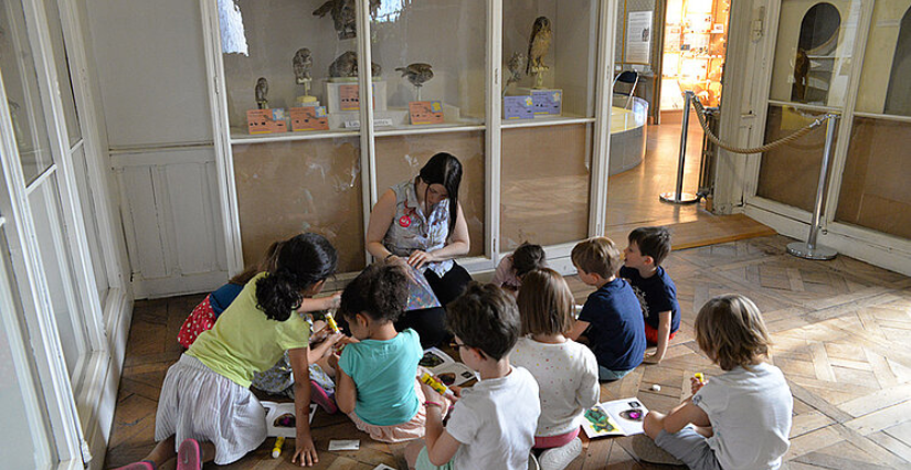 "Fabrique ta chimère", visite en famille au Muséum des Sciences Naturelles d'Angers
