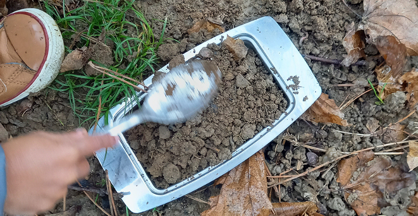 Balade sensible "Vadrouille avec les tout-petits" à la Maison de l'Environnement à Angers