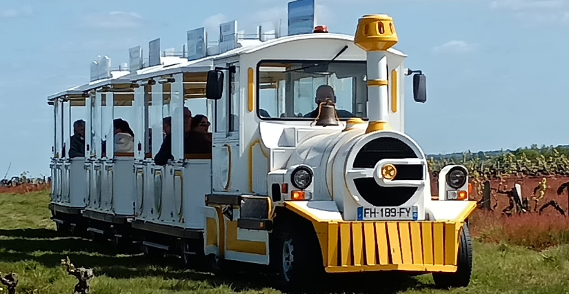 Le p'tit circuit vignoble du P'tit Train de Chalonnes-sur-Loire