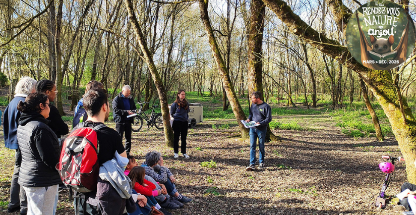 Balade découverte de la biodiversité au Parc Balzac avec la Maison de l'environnement à Angers