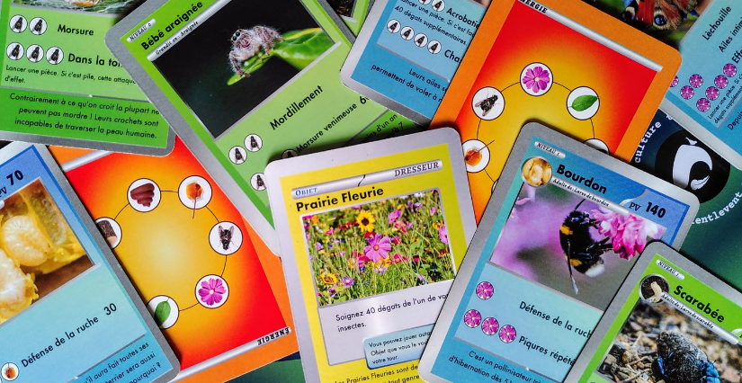 Spectacle-jeu "À hauteur d'insectes" à la Bibliothèque Maison Rouge à Verrières-en-Anjou