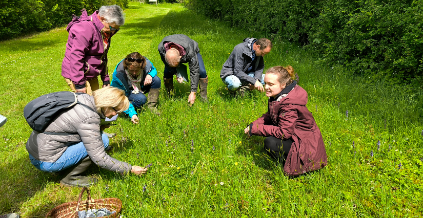 Ateliers botaniques à la Maison des chasseurs à Bouchemaine