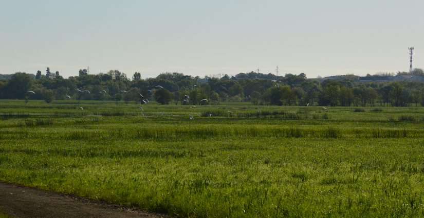 Découverte de l'Île Saint-Aubin avec la Maison des chasseurs, à Angers