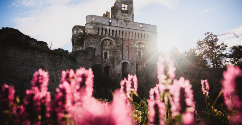 Chasse aux oeufs au Château du Plessis-Macé