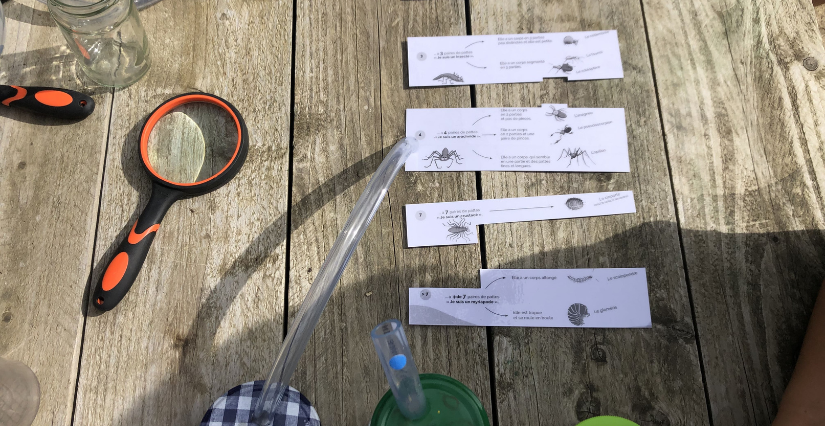 Bricolage nature "fabrique un aspirateur à p'tites bêtes" à la Maison de l'Environnement à Angers