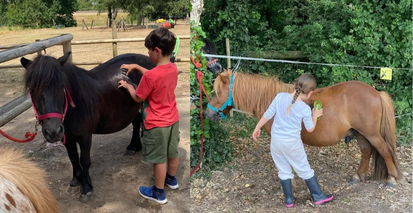 Portes ouvertes au Lac de Maine Equitation Angers
