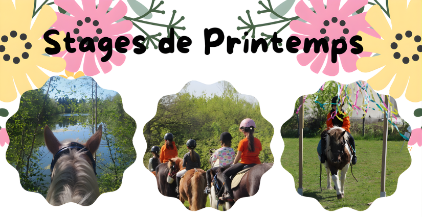 Stage d'équitation des vacances de printemps avec Loisirs Équestres