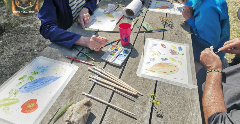 Balade découverte "L'eau au jardin" à la Maison de l'Environnement à Angers