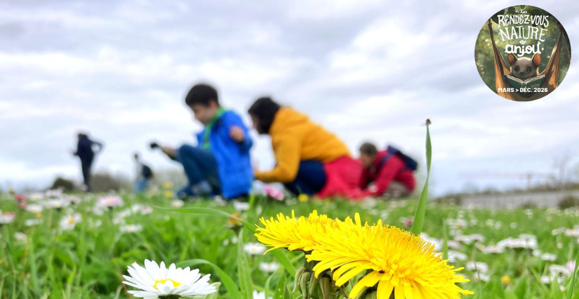 Rallye photo plantes et petites bêtes avec la Maison de l'Environnement d'Angers