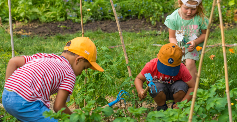 Animation "Le jardin des tout-petits", au Jardin Camifolia de Chemillé-en-Anjou