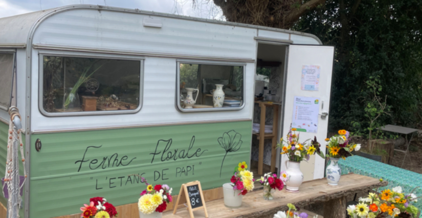 Découvrez la ferme florale L'Étang de papi à La Jaille-Yvon, dans le cadre du Printemps à la ferme
