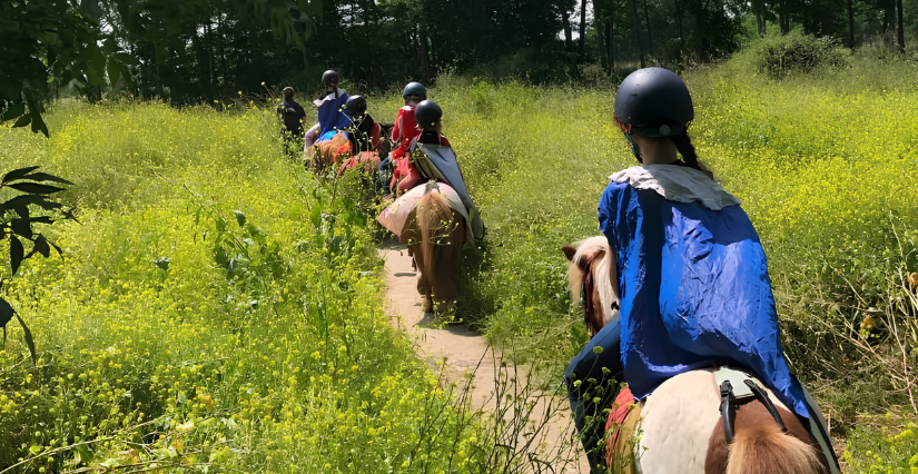 Stage d'équitation chez Lac de Maine équitation à Angers