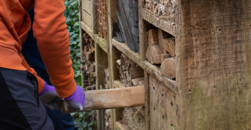 Chantier participatif "Je construis un hôtel à insectes géant", avec la Maison de l'Environnement