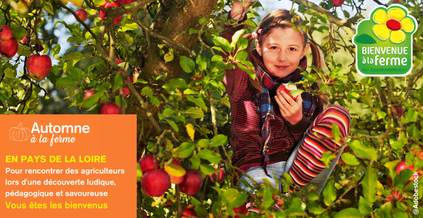 Découvrez les animations proposées dans les fermes du Maine-et-Loire dans le cadre de l'Automne à la ferme !