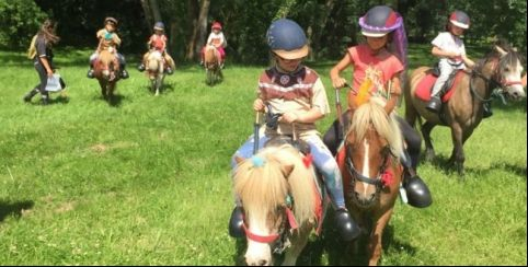 Stage d'équitation chez Lac de Maine équitation Angers