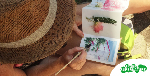 Carnet de voyage, atelier à l'Arboretum Gaston-Alllard à Angers