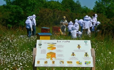 Atelier découverte de l'apiculture avec la Maison des chasseurs, à Bouchemaine