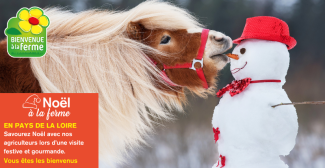 Noël à la ferme, animations en famille avec Bienvenue à la ferme dans le Maine-et-Loire