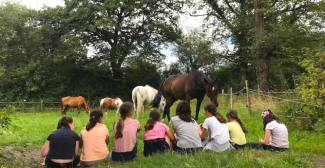 Un anniversaire "Copains et chevaux", avec Équi Écoute, près d'Angers