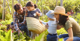Le Jardin de l'Avenir, un jardin bio en libre cueillette et familial