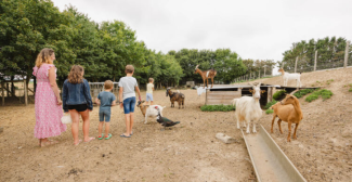 Bienvenue à la ferme, des visites de fermes en famille dans le Maine-et-Loire